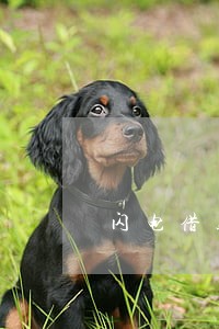 闪电借款逾期一年 闪电借款逾期一年