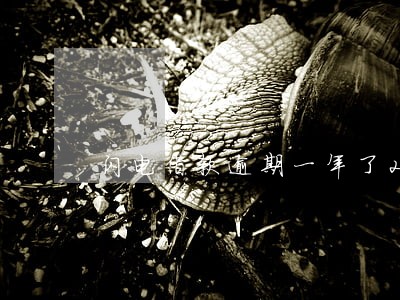 闪电借款逾期一年了2019 闪电借款逾期一年了2019