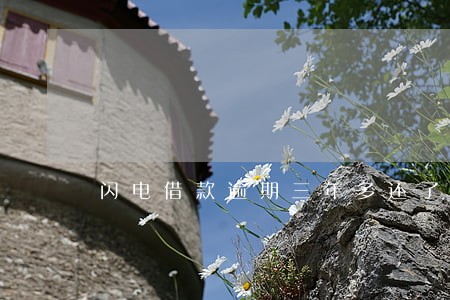 闪电借款逾期三年多还了还能借吗 闪电借款逾期三年多还了还能借吗