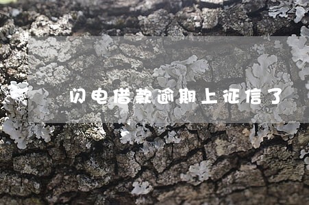 闪电借款逾期上征信了 闪电借款逾期上征信了