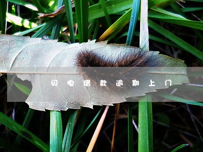 闪电借款逾期上门 闪电借款逾期上门