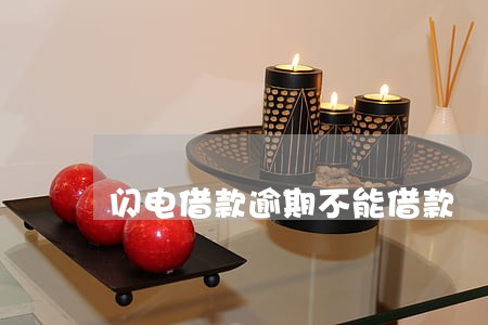 闪电借款逾期不能借款