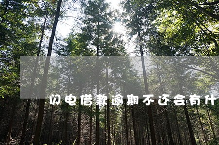 闪电借款逾期不还会有什么后果 闪电借款逾期不还会有什么后果
