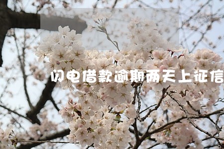 闪电借款逾期两天上征信吗