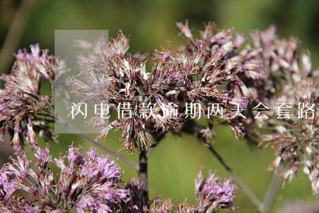 闪电借款逾期两天会套路吗 闪电借款逾期两天会套路吗