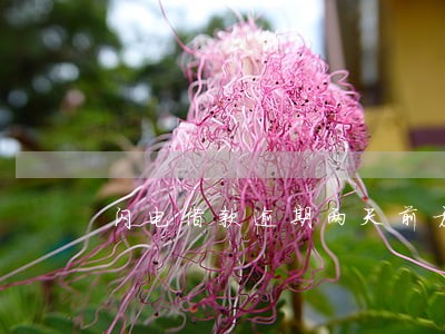 闪电借款逾期两天前方人数 闪电借款逾期两天前方人数
