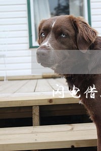 闪电借款逾期两天有影响吗 闪电借款逾期两天有影响吗