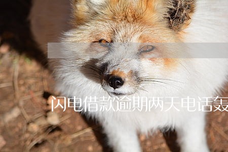 闪电借款逾期两天电话轰炸 闪电借款逾期两天电话轰炸