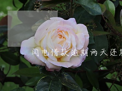 闪电借款逾期两天还能下款吗 闪电借款逾期两天还能下款吗