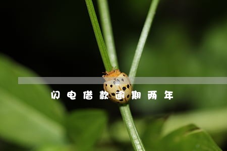 闪电借款逾期两年 闪电借款逾期两年