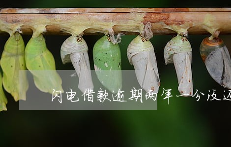 闪电借款逾期两年一分没还 闪电借款逾期两年一分没还