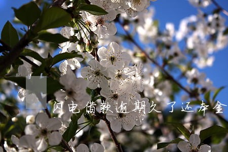闪电借款逾期久了还本金 闪电借款逾期久了还本金