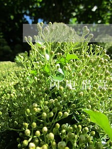 闪电借款逾期九个月 闪电借款逾期九个月