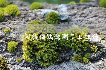 闪电借款逾期了上征信 闪电借款逾期了上征信