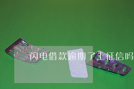 闪电借款逾期了上征信吗 闪电借款逾期了上征信吗