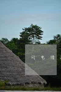 闪电借款逾期了不循环借款 闪电借款逾期了不循环借款