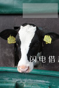 闪电借款逾期了不能借 闪电借款逾期了不能借