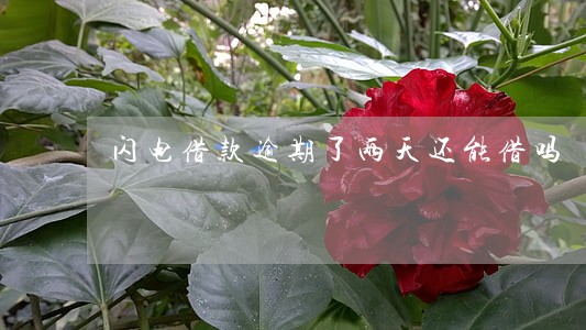 闪电借款逾期了两天还能借吗 闪电借款逾期了两天还能借吗