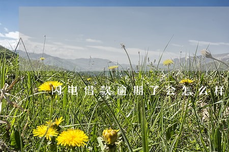闪电借款逾期了会怎么样 闪电借款逾期了会怎么样