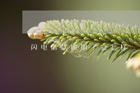闪电借款逾期了会怎样 闪电借款逾期了会怎样