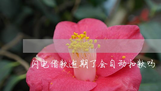 闪电借款逾期了会自动扣款吗