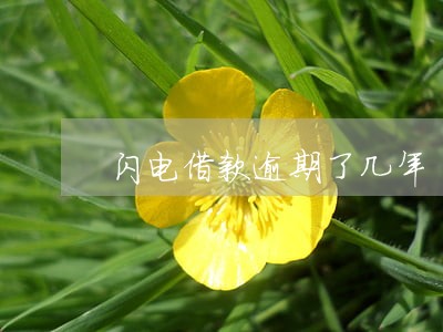 闪电借款逾期了几年