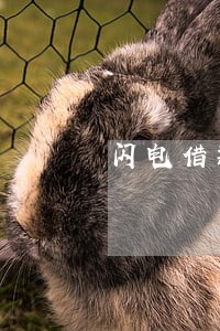 闪电借款逾期了四天 闪电借款逾期了四天