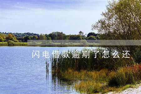 闪电借款逾期了怎么还 闪电借款逾期了怎么还