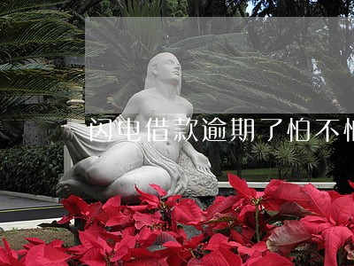 闪电借款逾期了怕不怕 闪电借款逾期了怕不怕