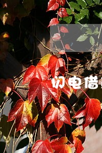 闪电借款逾期了慢慢还 闪电借款逾期了慢慢还