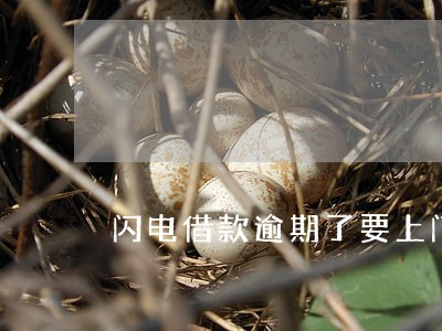闪电借款逾期了要上门 闪电借款逾期了要上门