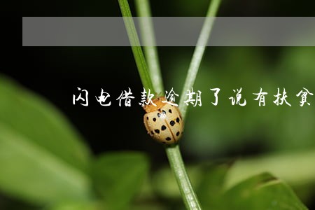 闪电借款逾期了说有扶贫 闪电借款逾期了说有扶贫
