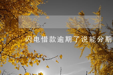 闪电借款逾期了说能分期 闪电借款逾期了说能分期
