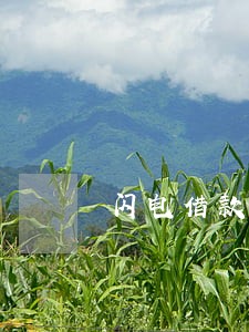 闪电借款逾期了还不起了 闪电借款逾期了还不起了