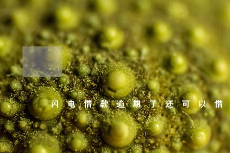 闪电借款逾期了还可以借嘛 闪电借款逾期了还可以借嘛