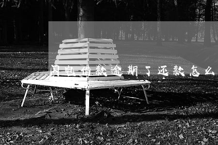 闪电借款逾期了还款怎么还款 闪电借款逾期了还款怎么还款