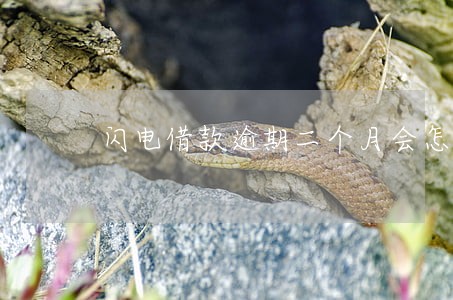 闪电借款逾期二个月会怎么样 闪电借款逾期二个月会怎么样