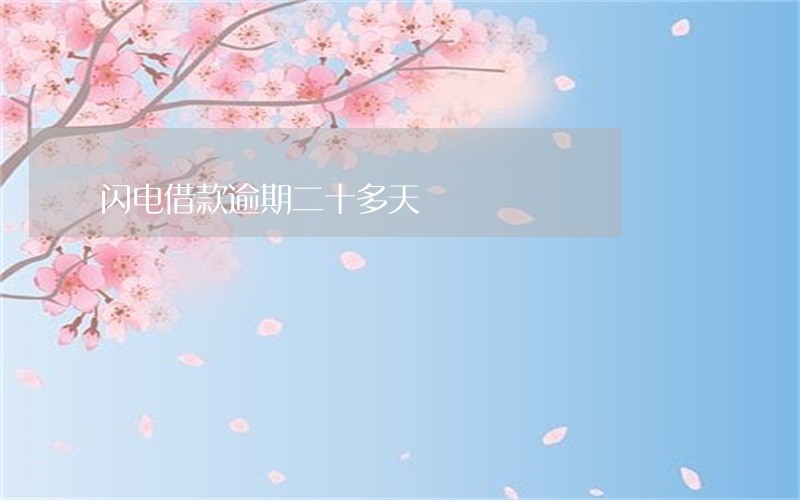 闪电借款逾期二十多天 闪电借款逾期二十多天