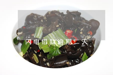 闪电借款逾期二天 闪电借款逾期二天