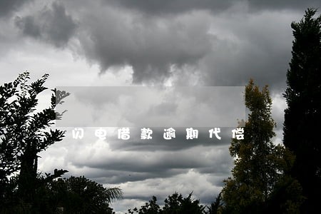 闪电借款逾期代偿 闪电借款逾期代偿