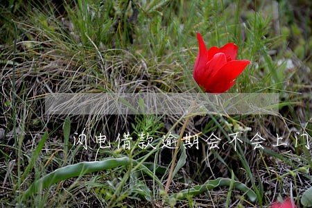 闪电借款逾期会不会上门 闪电借款逾期会不会上门