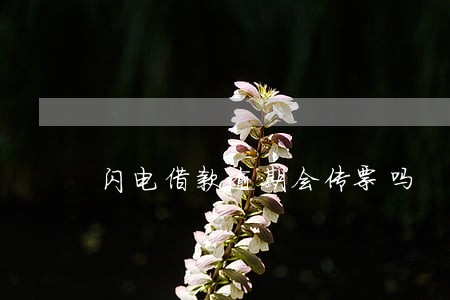 闪电借款逾期会传票吗 闪电借款逾期会传票吗