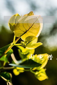 闪电借款逾期会去单位嘛 闪电借款逾期会去单位嘛