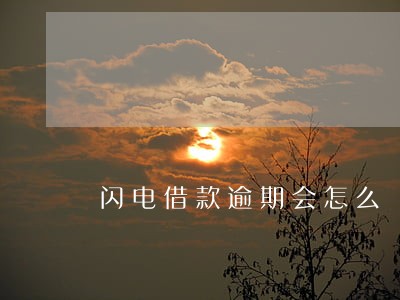 闪电借款逾期会怎么 闪电借款逾期会怎么