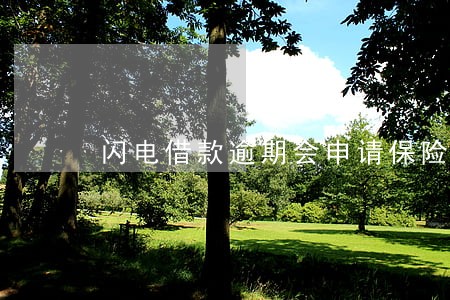 闪电借款逾期会申请保险代偿 闪电借款逾期会申请保险代偿