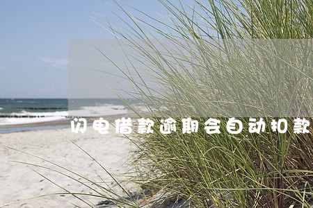 闪电借款逾期会自动扣款么 闪电借款逾期会自动扣款么