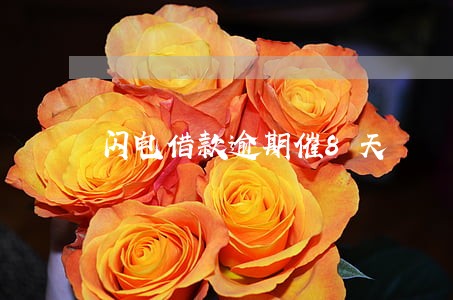 闪电借款逾期催8天 闪电借款逾期催8天
