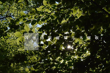 闪电借款逾期几天催收 闪电借款逾期几天催收
