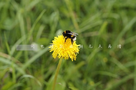 闪电借款逾期几天再借 闪电借款逾期几天再借