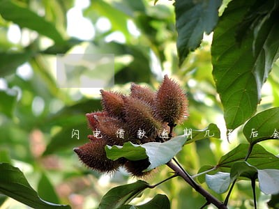 闪电借款逾期几天后会上门吗